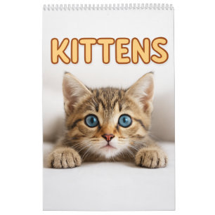 Calendário Fotografia de Gato Aconchegante Parede de Gato F