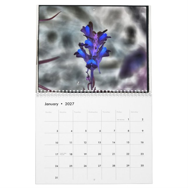 Calendário Fotografia de Harty da urze (Jan 2027)