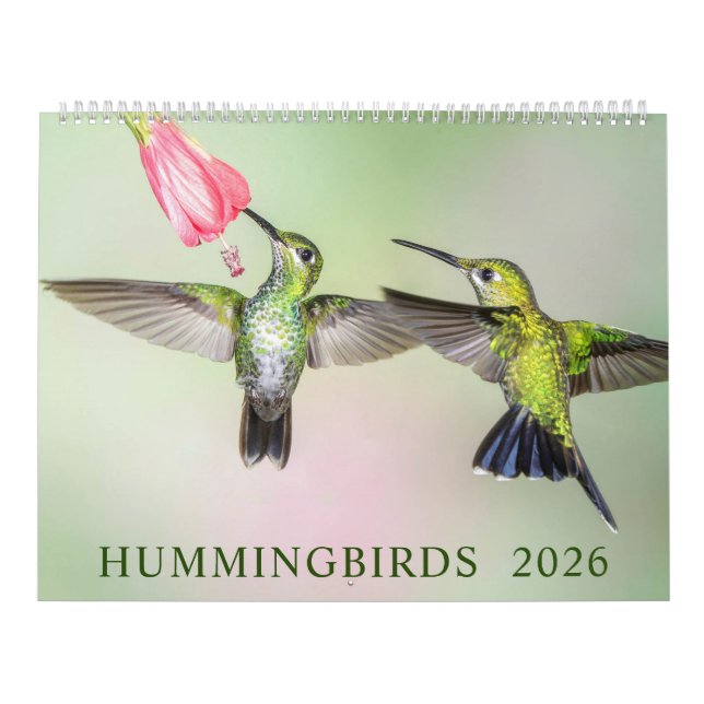 Calendário Fotografia de Hummingbird 2023 (Capa)