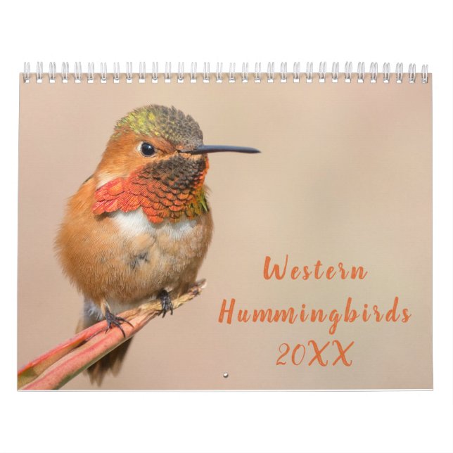 Calendário Fotografia de Hummingbird Ocidental (Capa)