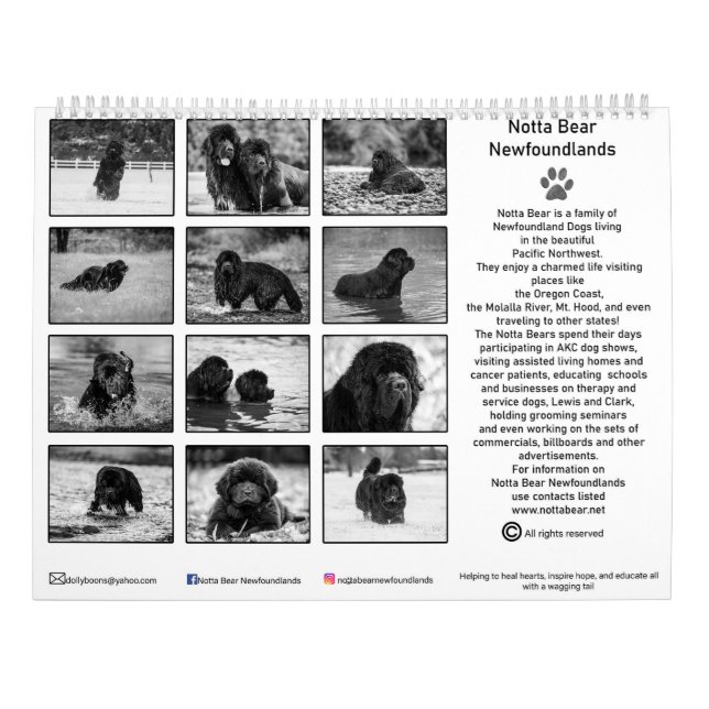 Calendário Fotografia de newfoundland preto e branco (Verso)