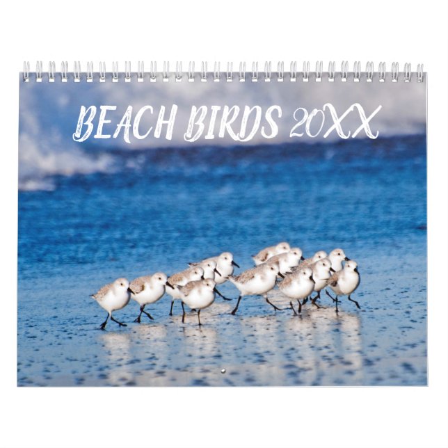 Calendário Fotografia de Pássaros de Praia (Capa)