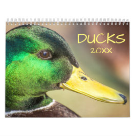 Calendário Fotografia de Patos Bonitos