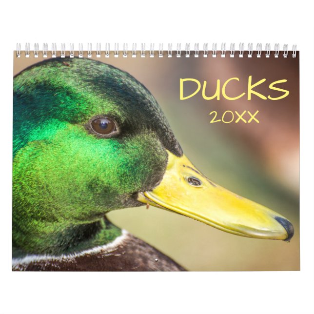 Calendário Fotografia de Patos Bonitos (Capa)