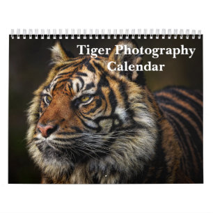 Calendário Fotografia de Tigre Animal Selvagem 2027