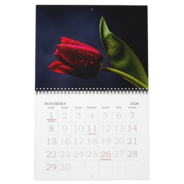 Calendário Fotografia de Tulipas e Flores Rosa (Nov 2026)