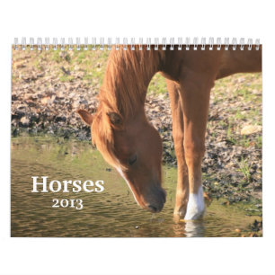 Calendário Fotografia dos cavalos