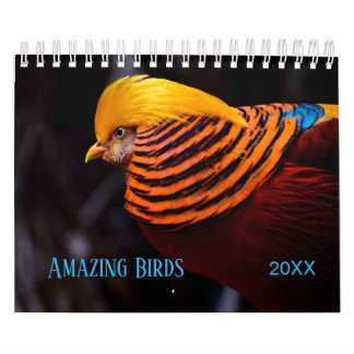 Calendário Fotografia incrível de AVES