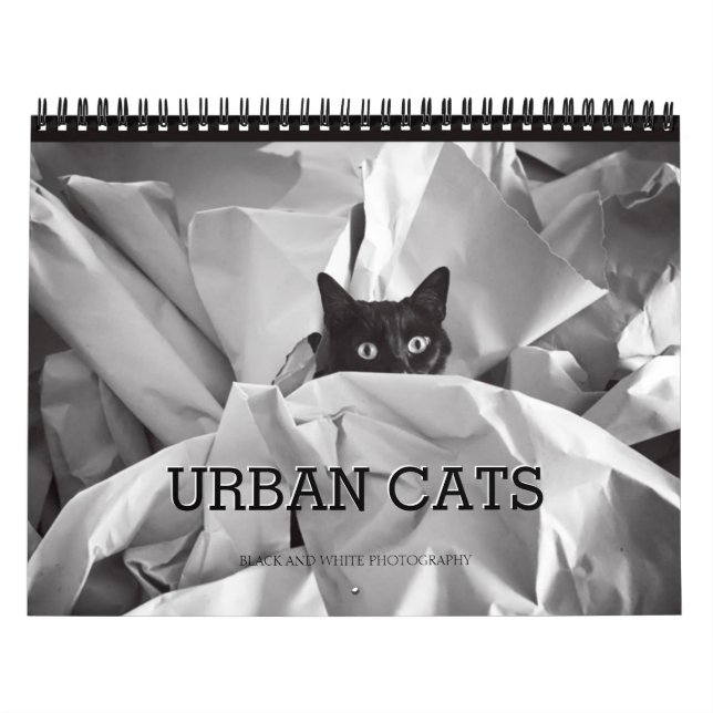 Calendário Fotografia preto e branco dos gatos urbanos (Capa)