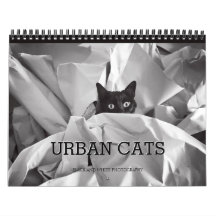 Fotografia preto e branco dos gatos urbanos