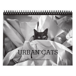 Calendário Fotografia preto e branco dos gatos urbanos