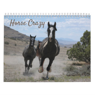 Calendário Fotografias de Cavalos para Amantes de Cavalos