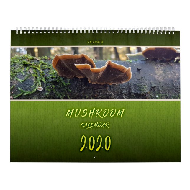 CALENDÁRIO FOTOGRAFIAS DO MUSHROOM DE PIENPANO (Capa)