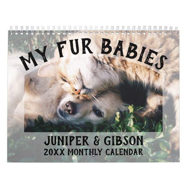 Calendário Fotográfico 2024: Peles Bebês, Animais  (Capa)