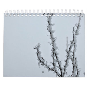 Calendário fotográfico de 2021