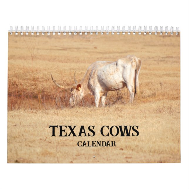 Calendário Fotográfico de Vacas do Texas (Capa)