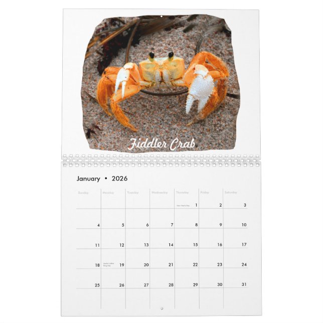 Calendário Fotos das imagens da praia de Florida (Jan 2026)