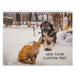 Calendário Fotos de animais de estimação engraçadas e fofas d