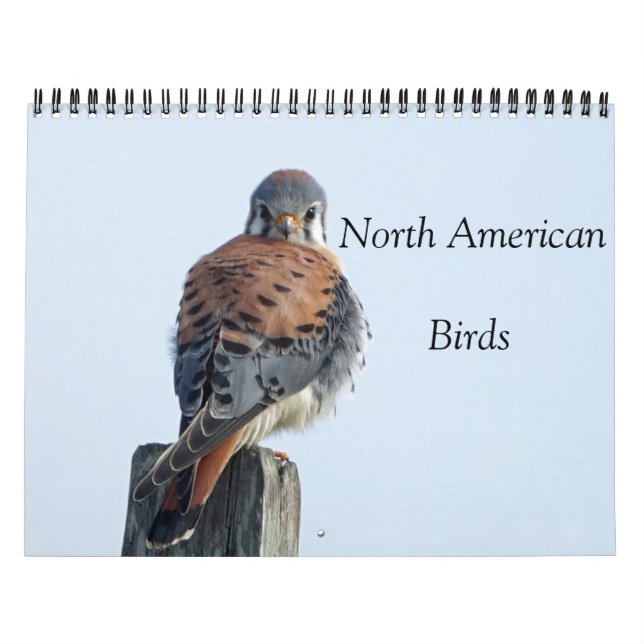 Calendário - Fotos de Aves da América do Norte (Capa)