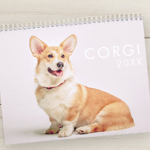 Calendário Fotos de Cães Corgi Engraçados Modernos