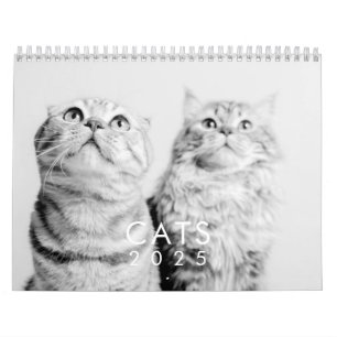 Calendário Fotos de Gato de Gatinhos de Pet Gatinhos Engraça