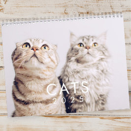 Calendário Fotos de Gato de Gatinhos de Pet Gatinhos Engraçad