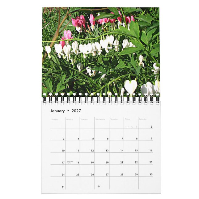 Calendário Fotos do Jardim 2008 (Jan 2027)