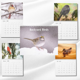 Calendário Fotos e arte de aves de quintal