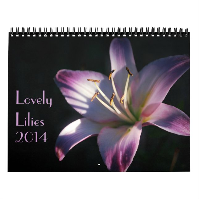 Calendário Fotos Lily Lindas (Capa)