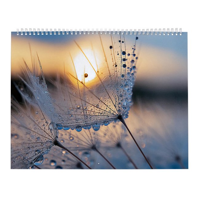 Calendário Fotos macro da natureza (Capa)
