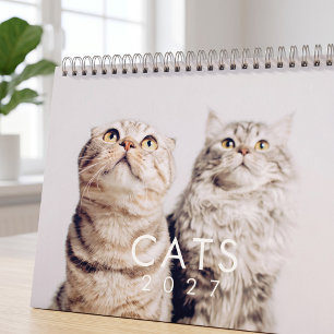 Calendário Fotos Modernas de Gato de Estimação Fofinho e Dive