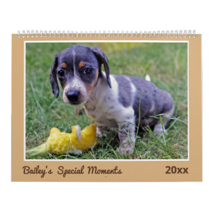Calendário Fotos Personalizadas de Cachorro Moderninho do Dac