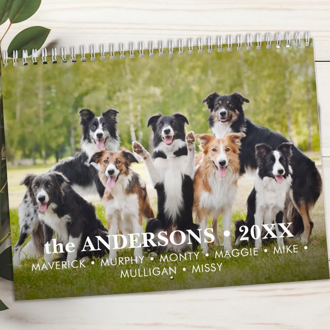 Calendário Fotos Personalizadas de Cão Pet Fotos Modernas 12  (Criador carregado)