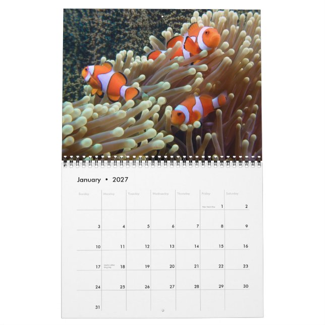 Calendário Fotos subaquáticas 2015 (Jan 2027)
