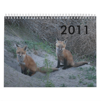 Calendário Fox 2011