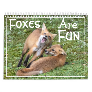 Calendário Foxes Are Fun Calendar