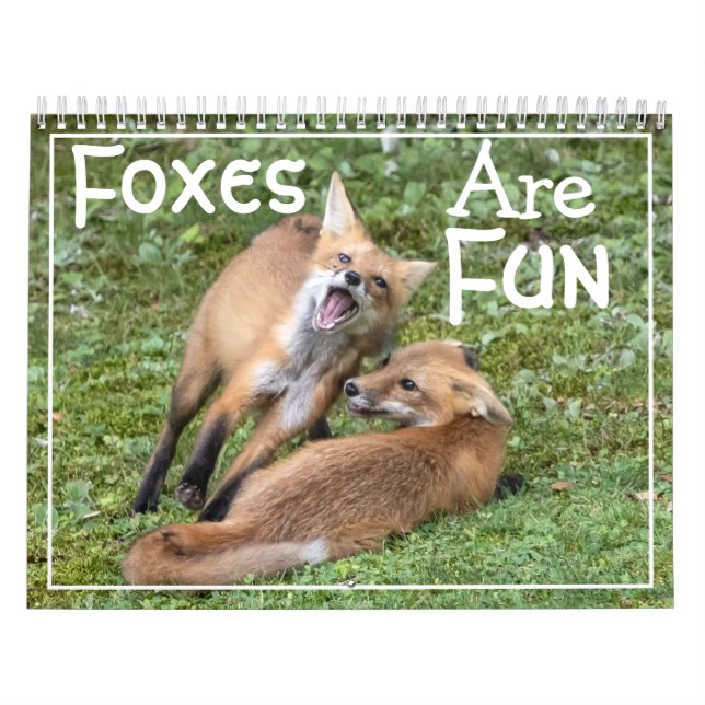 Calendário Foxes Are Fun Calendar (Capa)