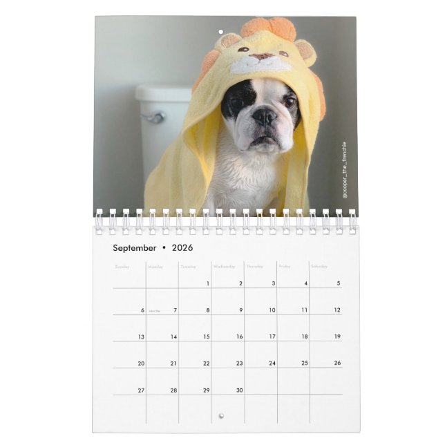 Calendário francês do Bulldog 2020 - Cooper, o fra (Set 2026)