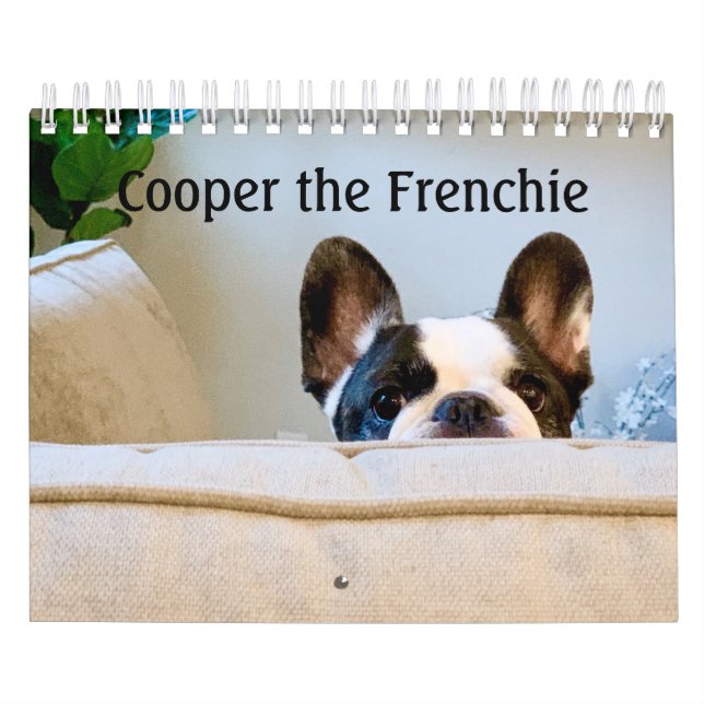 Calendário francês do Bulldog 2020 - Cooper, o fra (Capa)