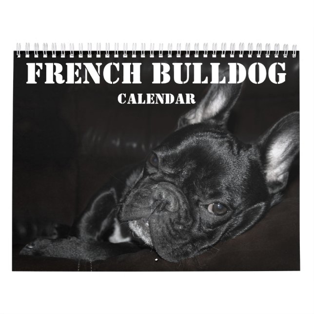 Calendário Francês Do Bulldog 2026 Com Fotos (Capa)