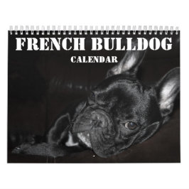 Calendário Francês Do Bulldog 2026 Com Fotos