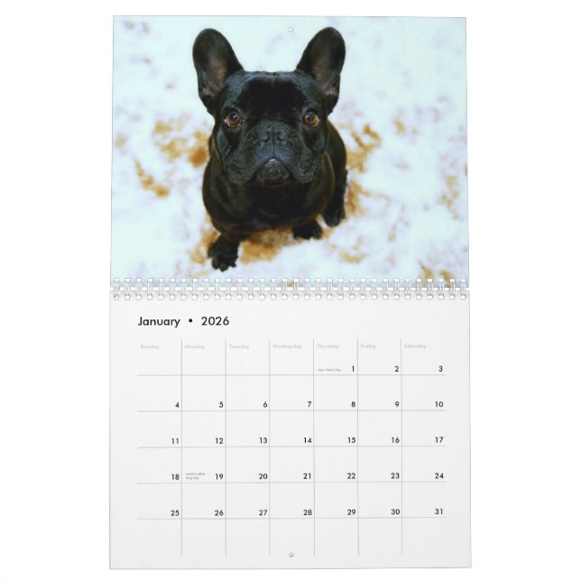 Calendario 2026 Settimanale/giornaliero Con Bulldog Francese, Per Casa, Ufficio O Scuola, Regalo Per Amanti Dei Cani
