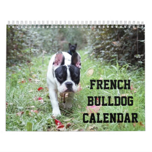 Calendário francês do Bulldog Adicionar suas fotos