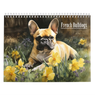 Calendário francês dos Bulldog, a qualquer ano