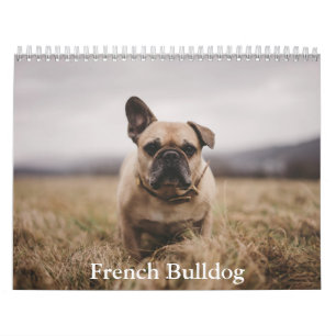 Calendário Francês para Bulldog