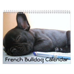 Calendário Francês para Bulldog 2016 Personalizado