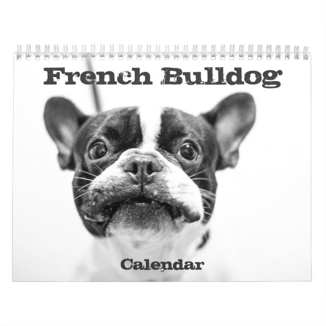 Calendário Francês para Bulldog 2016 Preto Branco  (Capa)
