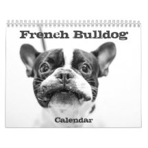 Calendário Francês para Bulldog 2016 Preto Branco 