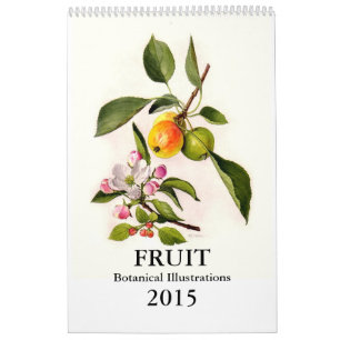 Calendário Fruta 2015