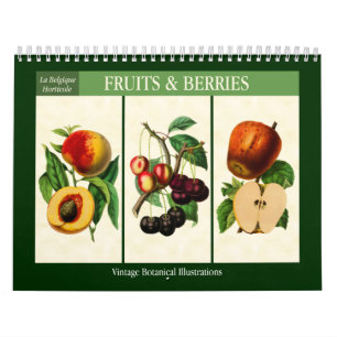 Calendário Frutas e Bagas Botânico Vintage 2027